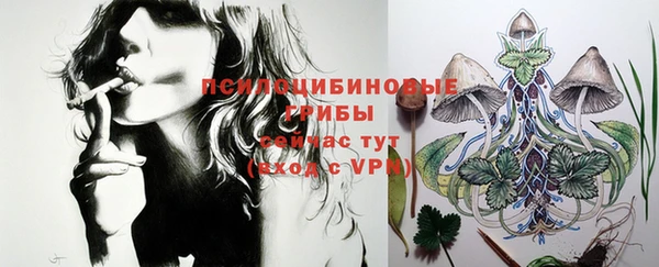 шишки Алексин