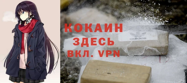 шишки Алексин
