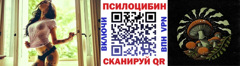 Псилоцибиновые грибы мухоморы  магазин продажи   Пугачёв 